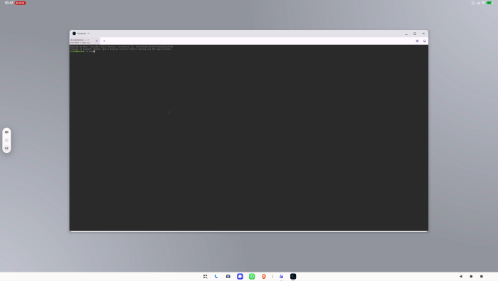 Über ein Terminal können Pixel-Nutzer Debian auf einem großen Bildschirm verwenden. (Screenshot: Golem.de)
